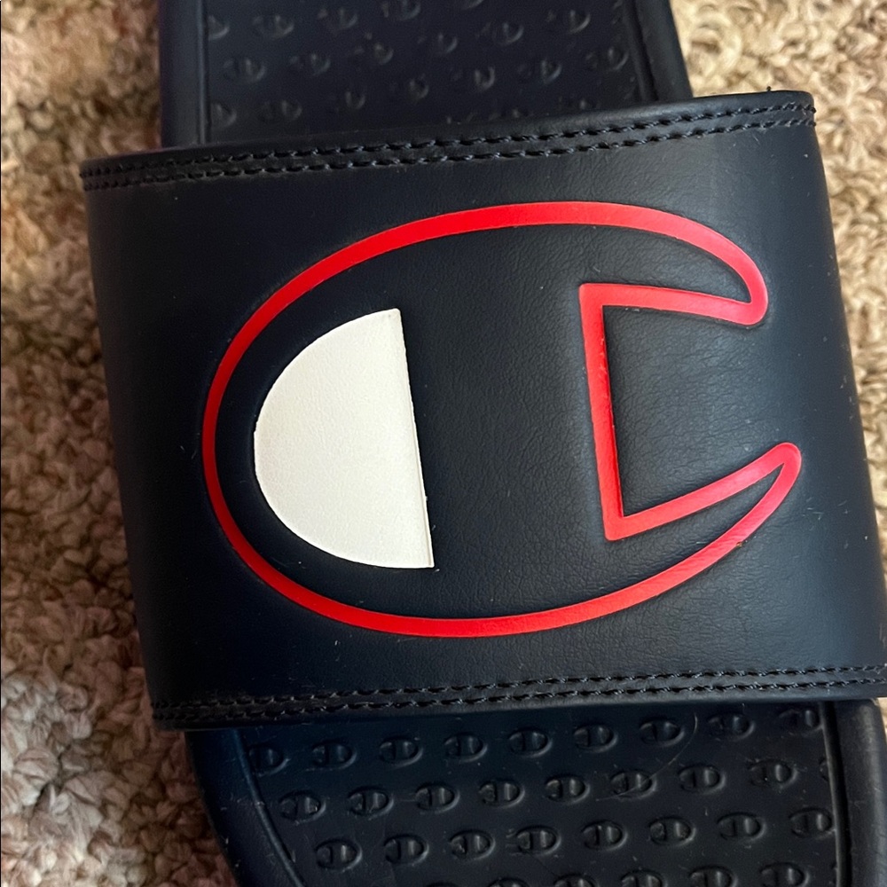 Champion Slides - Picture 7 of 7